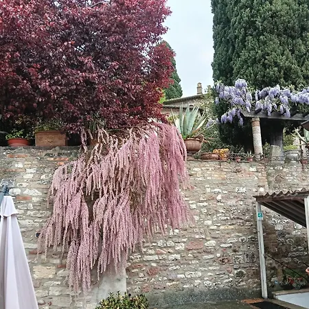 Appartamento Santa Chiara